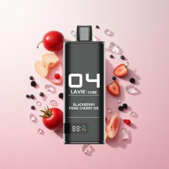 Lavie Cube 20000 Puffs ブラックベリーポメチェリーアイス タイプC充電 28ML