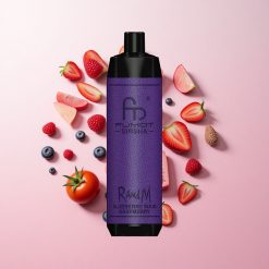 RandM Fumot Shisha 10000 Puffs ブルーベリーサワーラズベリー 18mlプリフィルド 850mAhバッテリー