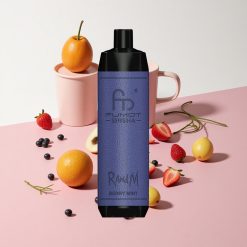 RandM Fumot Shisha 10000パフ ベリーミント 18mlプレフィルド 850mAhバッテリー